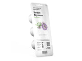 Sweet Alyssum Plant Pods 3-pack