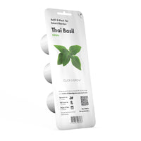 Thai Basil Plant Pods / Thai Basil Plant Pods