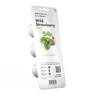 Wild Strawberry Plant Pods / Wild Strawberry Plant Pods