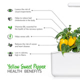 Yellow Sweet Pepper Plant Pods 3-pack