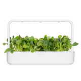 Pak Choi Plant Pods 3-pack