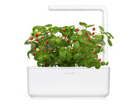 The Smart Garden 3 / Grow strawberries at home with an indoor garden by Click & Grow. The best plant growing kit out there!