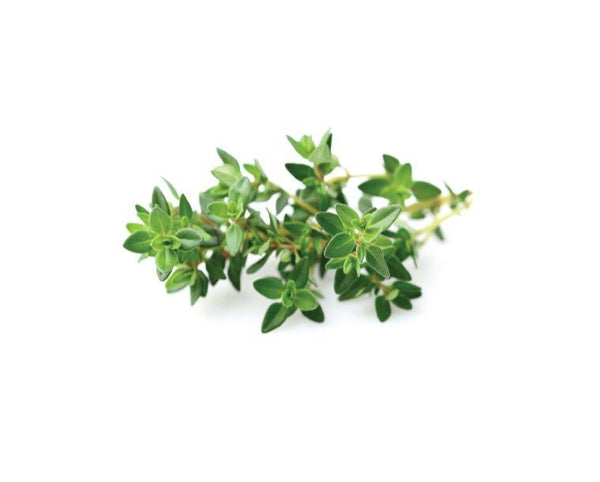 Thyme Refill