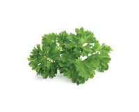 Curly Parsley Refill / Curly Parsley Refill