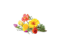 Moss Rose Refill / Moss Rose Refill