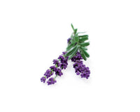 Lavender Refill / Lavender Refill