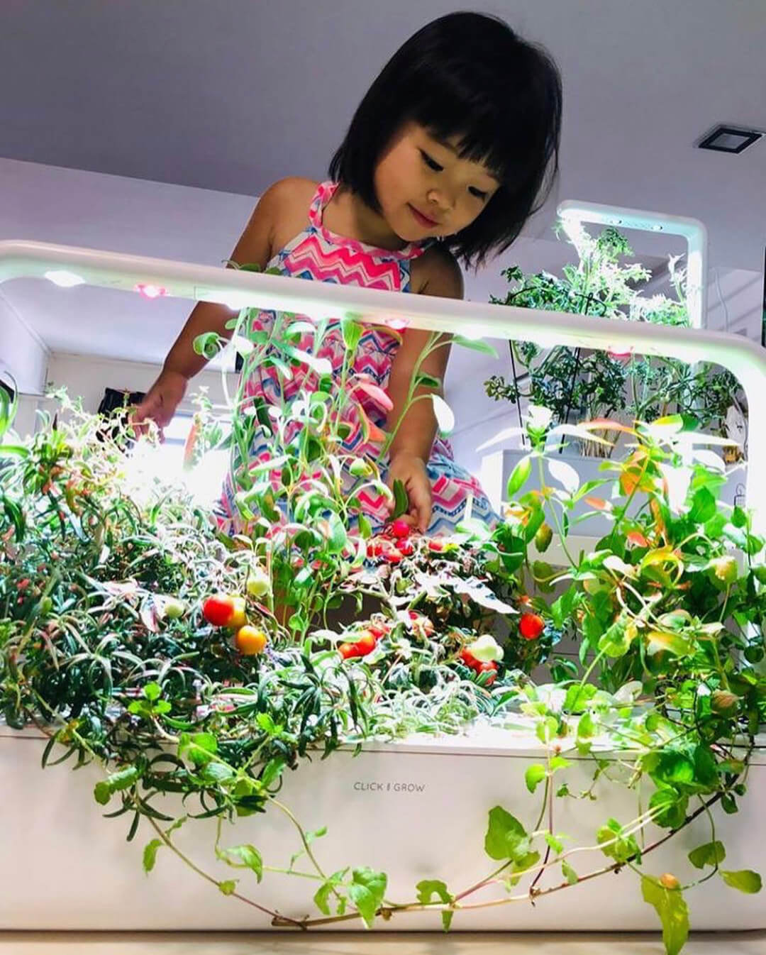 Small girl exploring the Smart Garden