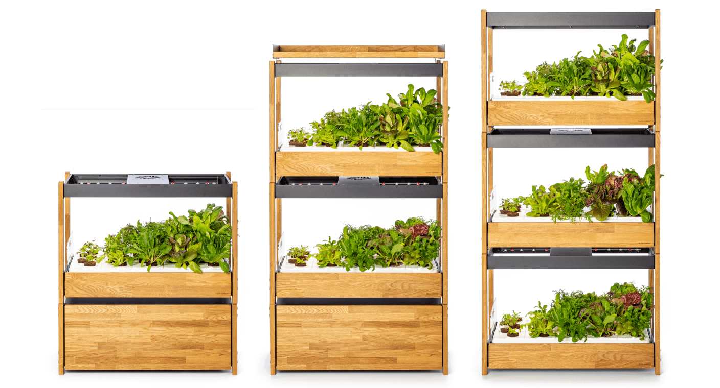 CG25 vs Lettuce Grow Click & Grow EU