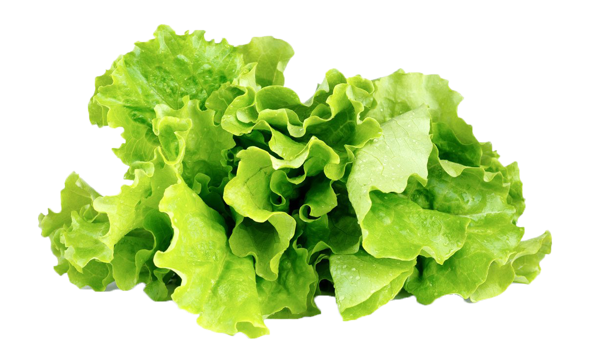 Click and Grow lettuce - fresh greens from smart garden