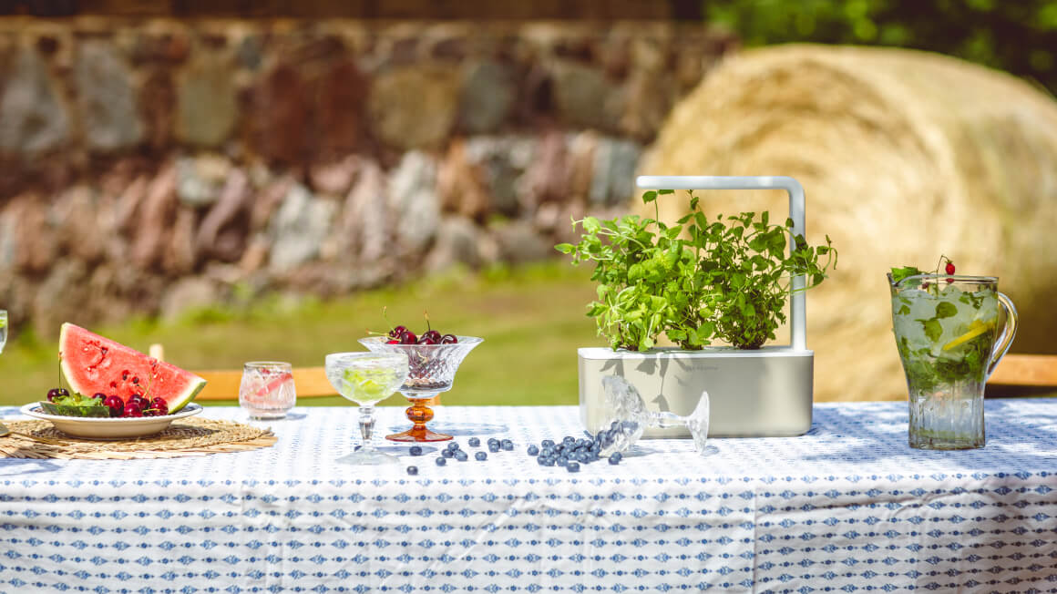 Midsummer Click & Grow EU