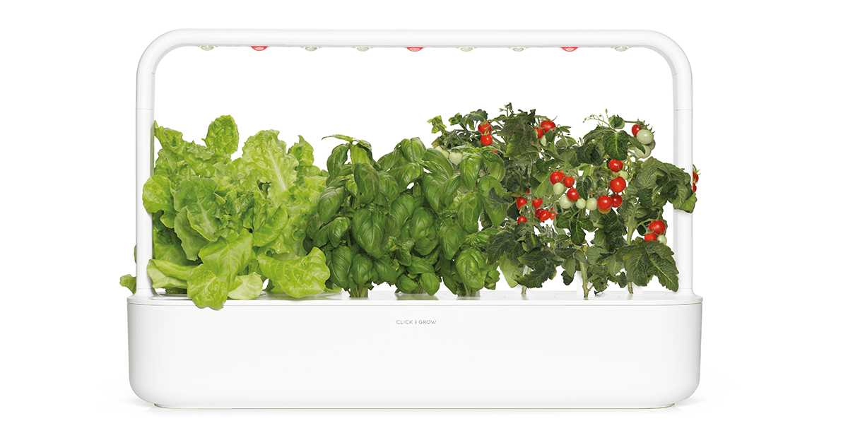 9 Tips for Indoor Vegetable Gardening